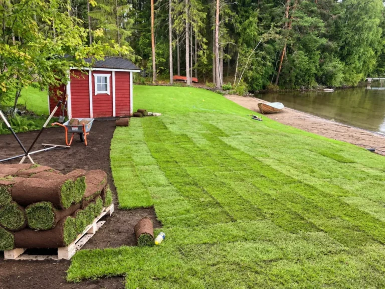 Leikkimökki nurmikkoisella pihalla