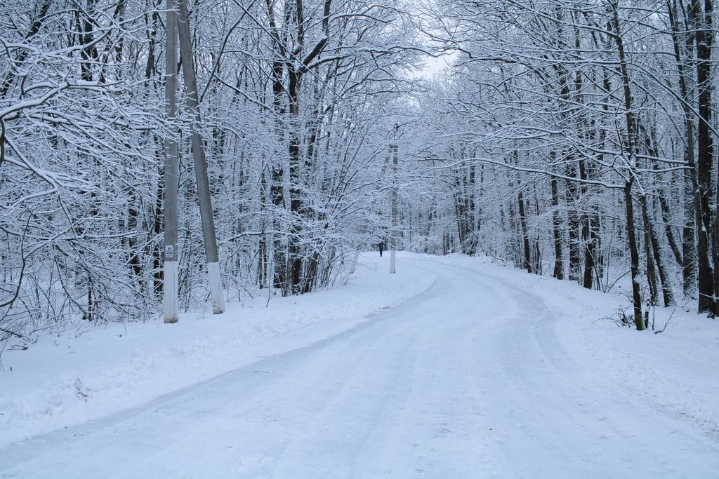 A tranquil snowy road winding through a winter forest, creating a serene woodland scene.